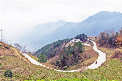 近日,城口县坪坝镇,完成硬化的乡村公路蜿蜒在高山中.