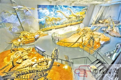 重庆自然博物馆新馆开门 全国最全恐龙家族聚