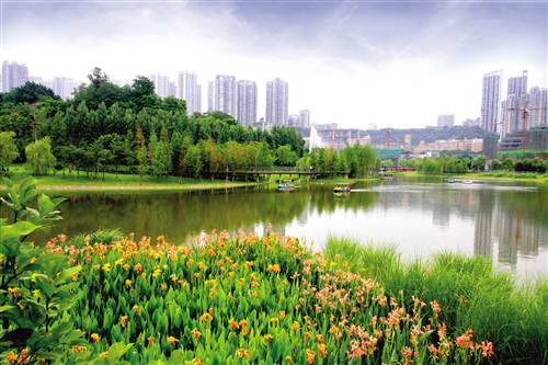 重庆建设:绿色发展 十年逐梦