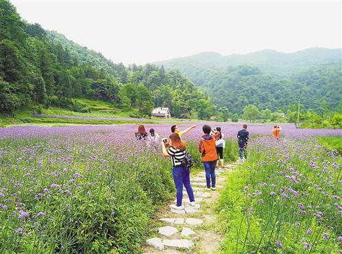 暑期到来,位於綦江区石壕镇万隆村的花坝旅游景区日均接待游客超过