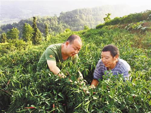 武隆繁荣村李贵：要让繁荣村变得真正繁荣