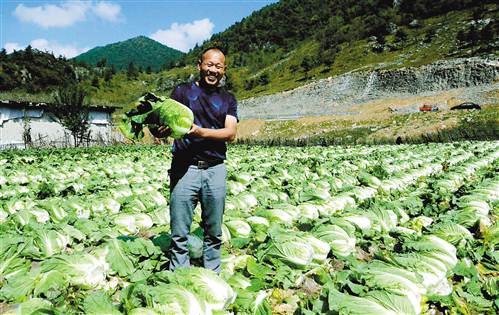 巫溪尤天平：“高山大白菜从没卖过‘白菜价’”