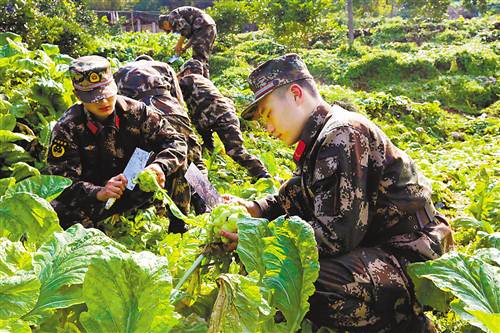 涪陵：做好军民融合深度发展大文章