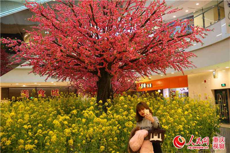 重庆:油菜花空降商场 市民陶醉 田园春色 --重庆