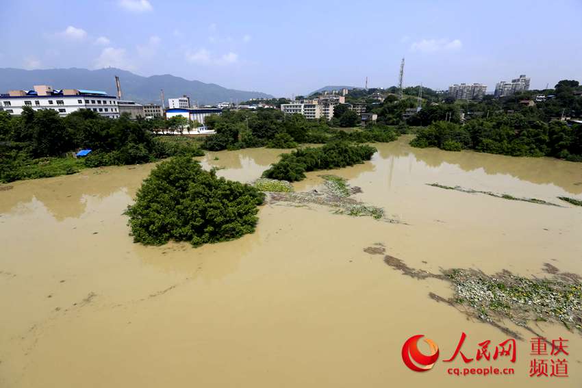实拍:嘉陵江重庆北碚段支流龙凤溪被江水倒灌