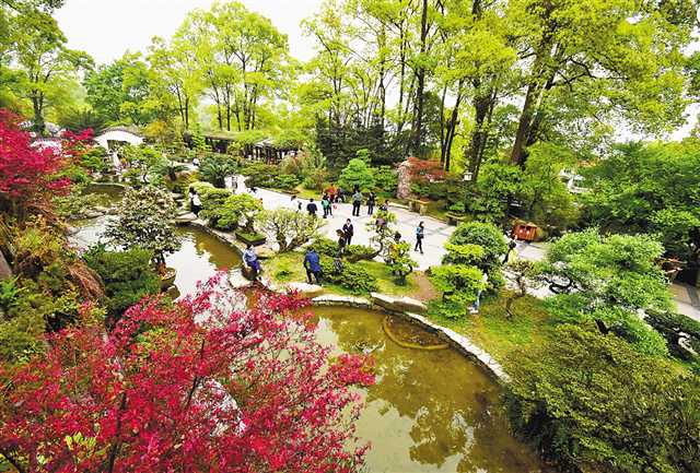 山城花冠南山植物園人與自然和諧共生的生態畫卷