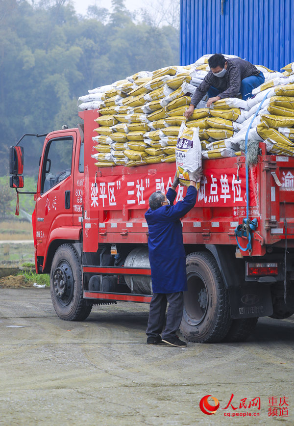 2月22日，重慶市梁平區供銷合作社組織服務隊，為合興鎮大梨村部分建卡貧困戶送去農具、種子、化肥等春耕生產物資。熊偉 攝