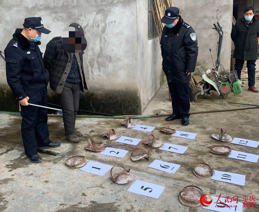 重慶警方嚴打破壞野生動物資源違法犯罪，收繳非法獵捕野生動物2400余隻。重慶市公安局供圖