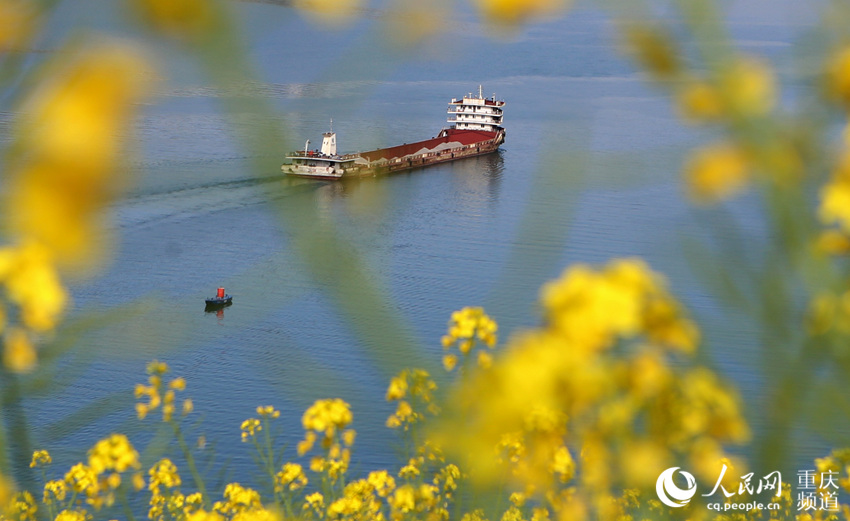 船行花叢中，春色滿長江。盧先慶攝