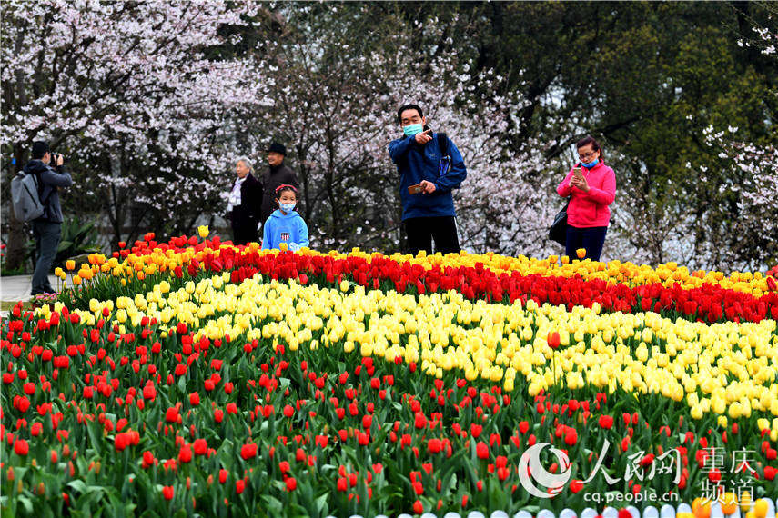 3月16日，重慶南山植物園恢復開放。 崔景印 攝