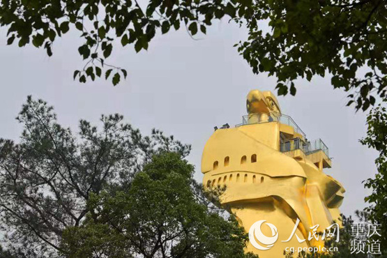 经过升级改造后的大金鹰园. 崔景印摄
