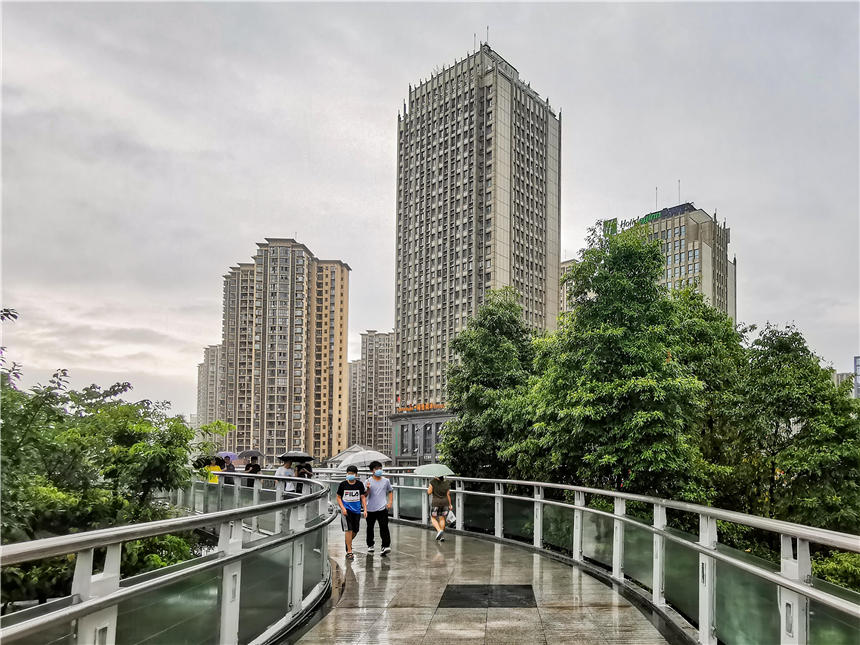 市民雨中漫步，去感受秋雨的洗禮。黃進 攝