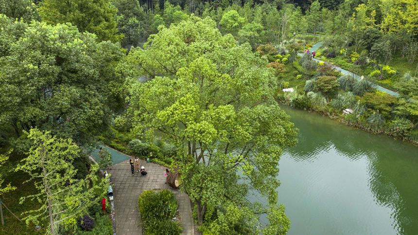 游人在重慶市北碚區縉雲山黛湖景區游玩。秦廷富攝