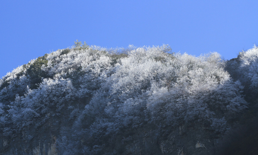 11月10日，巫峽之巔出現霧凇景觀。盧先慶攝
