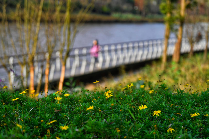 啥叫生态处理 LOCAL202112160817000512350097337.jpg