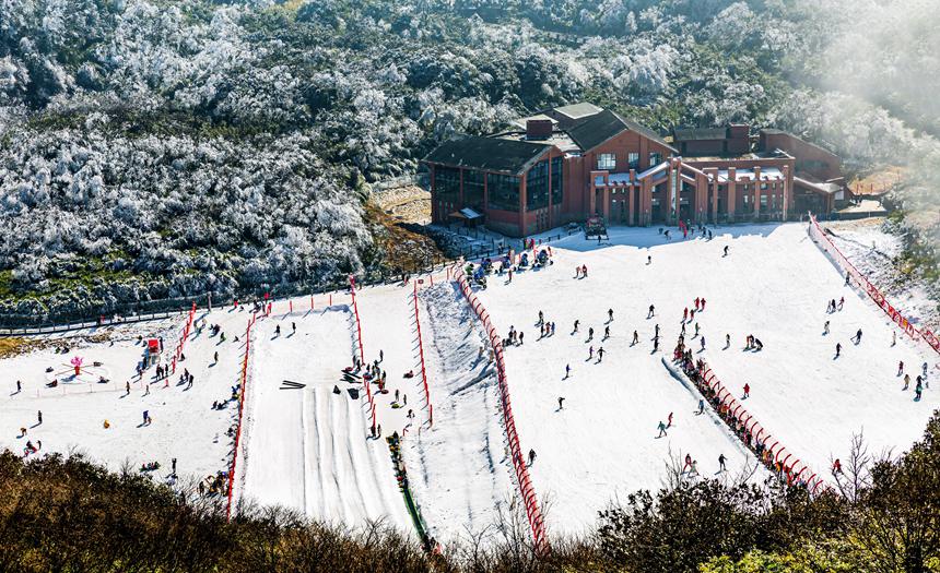 市民游客在金佛山滑雪場樂享冰雪運動。瞿明斌攝