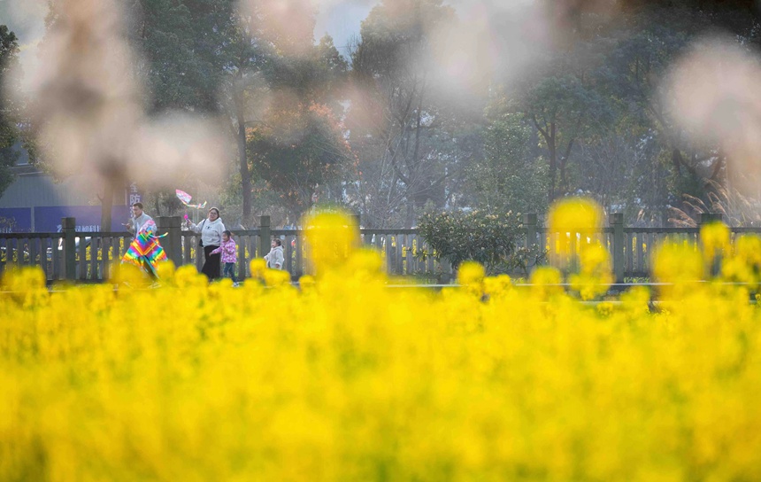 游客在重庆市南川区东城街道三秀社区油菜花海里赏花游玩。瞿明斌摄