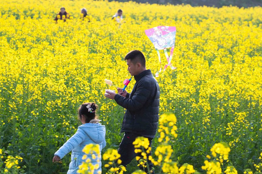 游客在重慶市南川區東城街道三秀社區油菜花海裡賞花游玩。瞿明斌攝