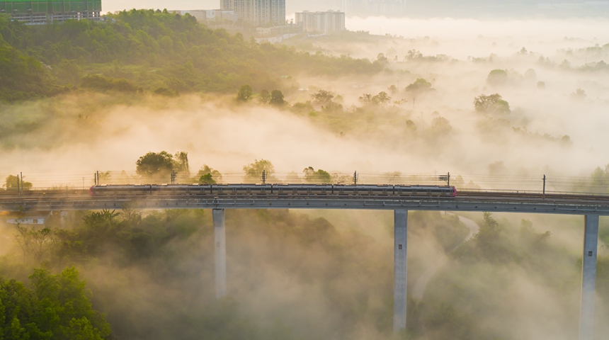晨雾中，一列轨道列车从蔡家轨道专用桥上驶过。林同��国际（中国）公司供图