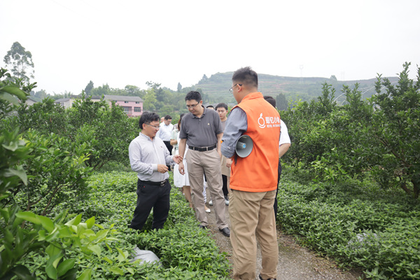 青年科学家在柑橘种植基地负责人现场交流。共青团重庆市委供图