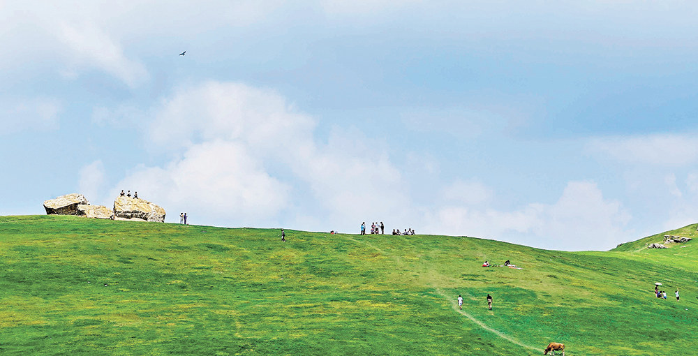 7月7日，游客在酉阳菖蒲高山生态旅游度假区游玩。通讯员 邱洪斌 摄/视觉重庆