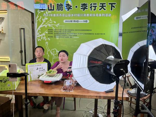 巫山脆李直播带货。蒋海涛摄
