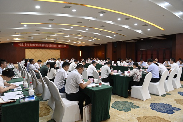 活动现场。共青团重庆市委供图