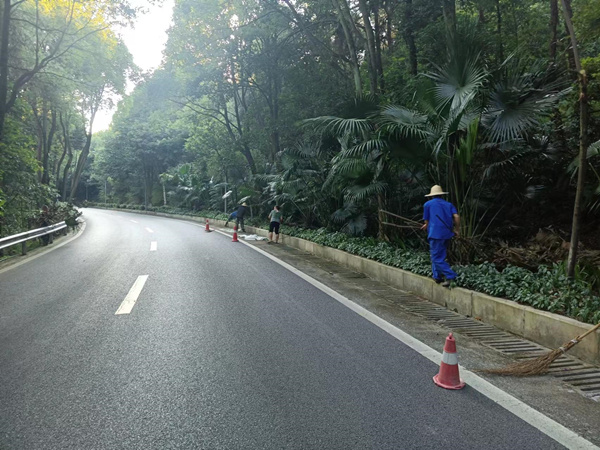 铁山坪街道对林区枯枝、落叶、杂草等可燃物进行清理。冯良摄