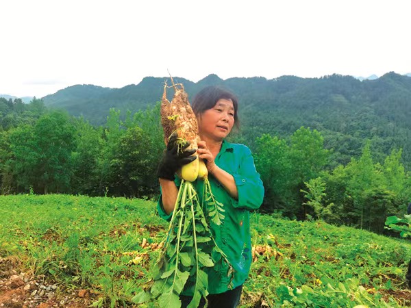村民刘长英在蔬菜基地务工。黔江区委宣传部供图