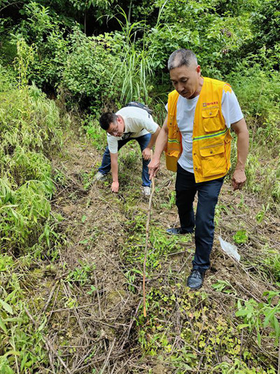 《地灾巡查一丝不苟》。6月13日，黔江区金溪规划和自然资源所会同107地质队总工秦华生（右）在黔江区太极镇太河村杉树湾查看原滑坡区域滑体裂隙等发育变化情况。李伟摄