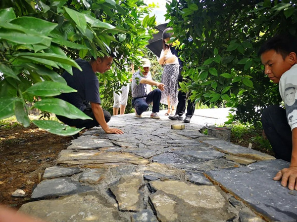 农田景观道路。奉节县委宣传部供图