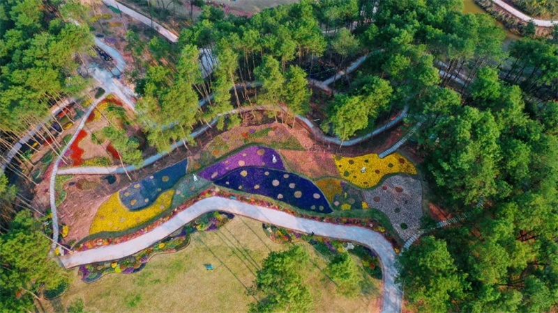 安的童话森林。渝北区文化旅游委供图
