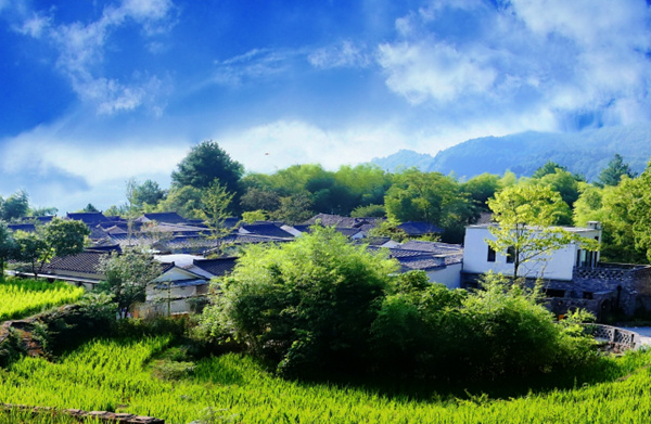 特色民宿清风场住宅区。杨松摄