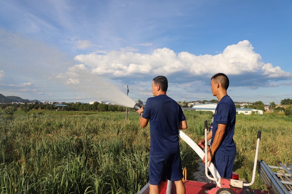 消防员对农作物进行浇灌。秀山县消防救援大队供图