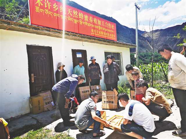 重庆专家（前排左一）在芒康县向藏族群众传授养蜂技术。（受访者供图）