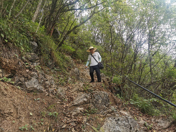 《地灾点巡查》。6月9日，川东南地质大队地灾驻守队员徐腾蛟去巫山县官阳镇老鹰村2组雾溪阳坡滑坡例行巡查的山路上。况星麟摄。