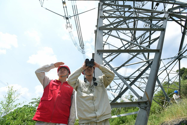 国网江津区供电公司员工对重要输电线路铁塔周边的防火情况进行巡查。