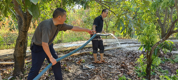 刘家奇巡查果树灌溉情况，并指导村民合理灌溉。夏林摄
