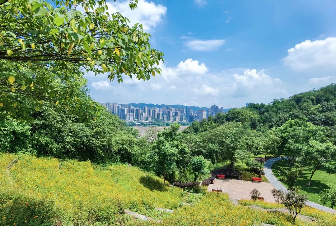 塔山公園。唐維迪攝