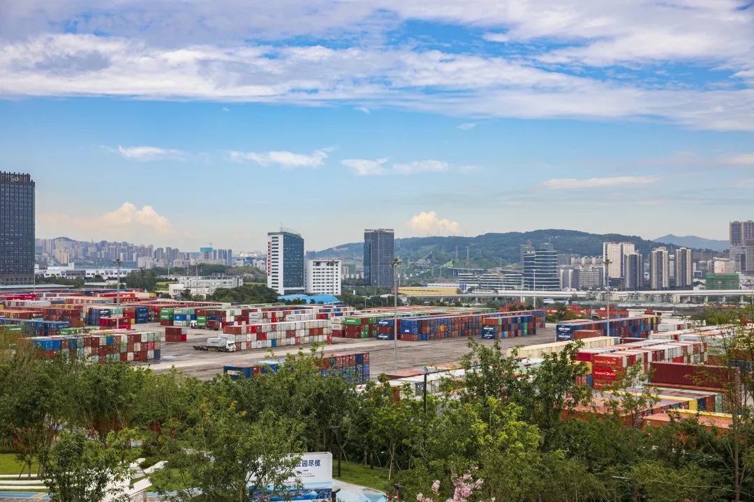 寸灘保稅港。林豪攝