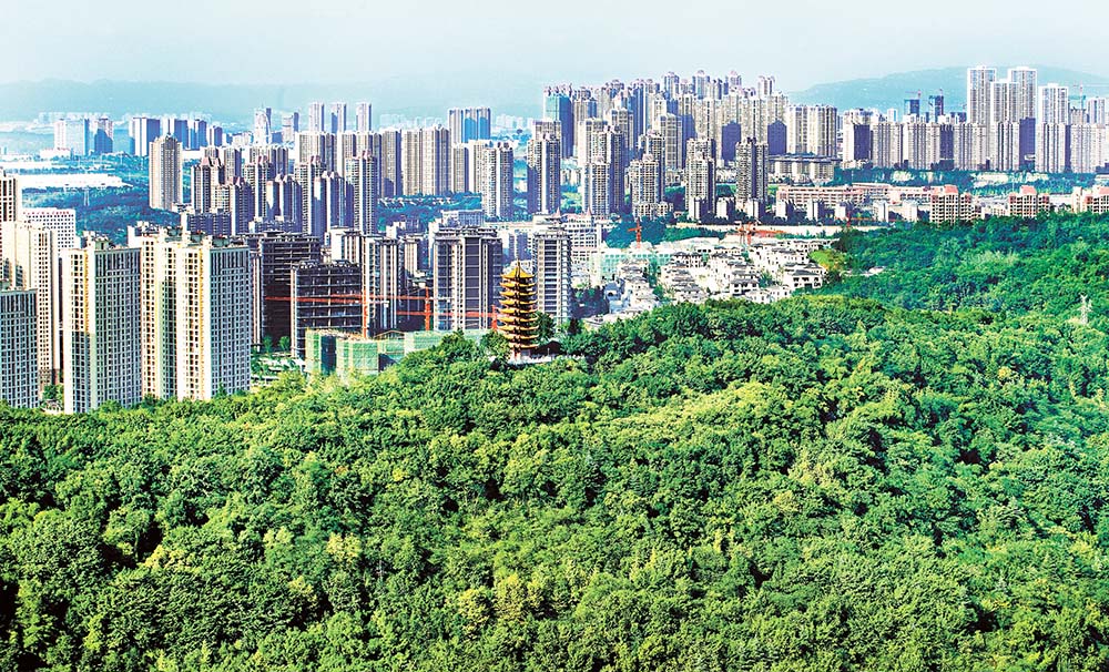 《园林与城市》——摄于渝北区照母山森林公园。陈勇 摄/视觉重庆