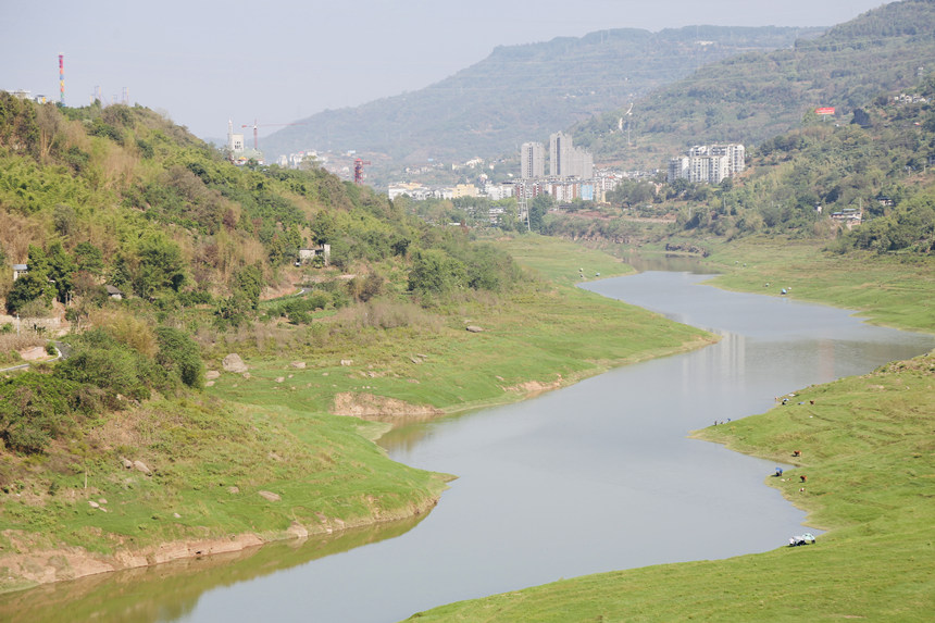 长江支流梨香溪两岸长满了绿油油的嫩草。杨孝永摄