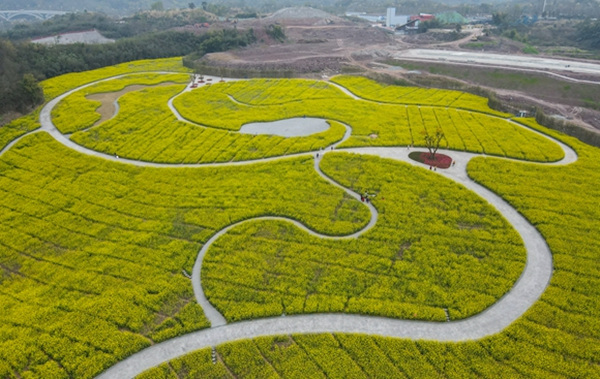 复盛镇龙湾森林公园。曹检摄