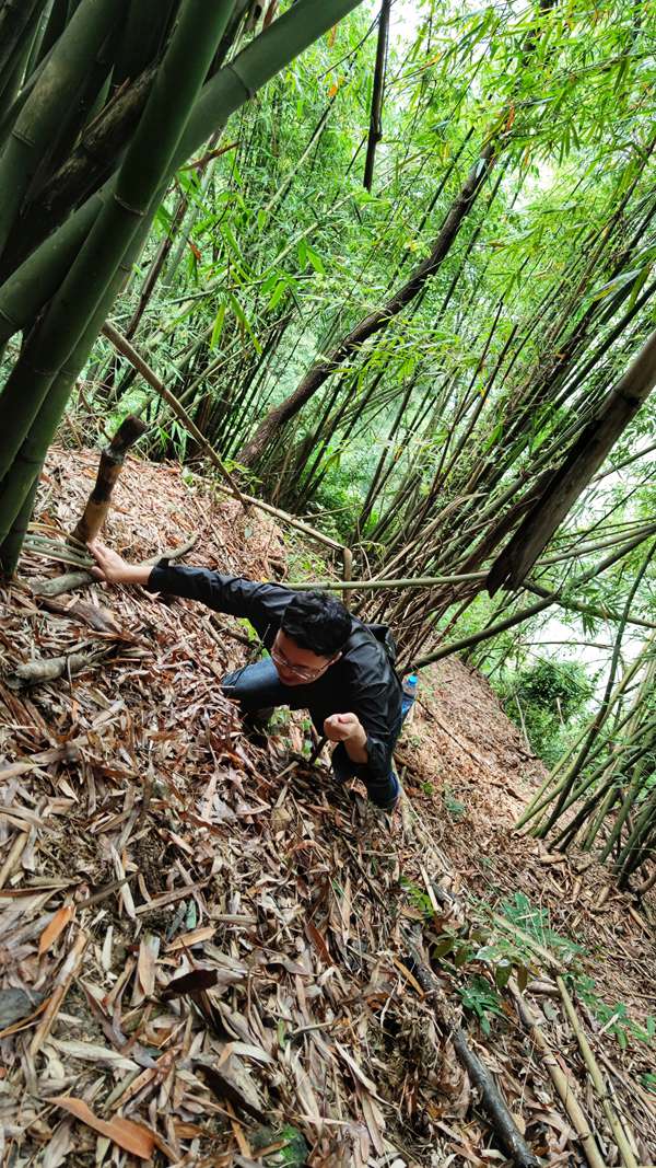 《手脚并用》。7月，北碚区东阳街道桃花山村张飞古道危岩带（嘉陵江左岸），重庆一三六地质队地质灾害工程技术人员对驻守辖区内危岩带进行巡视调查工作。杜健摄