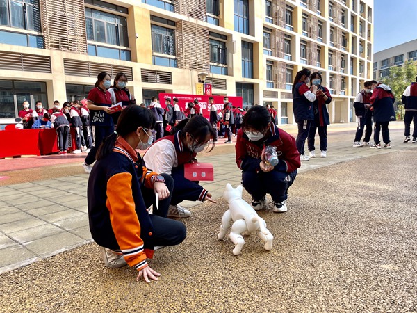 活动现场。 主办方供图