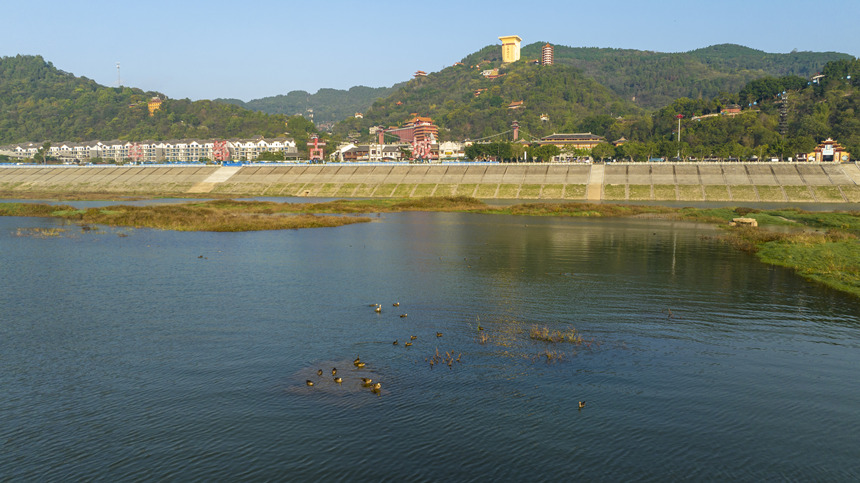 鸟儿与江水城市构成了一幅和谐美丽的生态画卷。刘先华摄