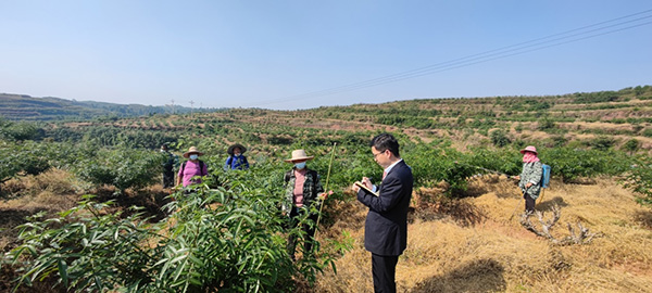工作人员调研花椒种植基地。建行重庆市分行供图