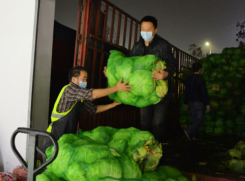 工作人員正在卸裝夜晚運抵的新鮮蔬菜，全力保障市民的“菜籃子”。郭旭攝