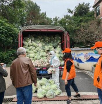重庆市上海商会志愿者分发蔬菜包。重庆市上海商会供图