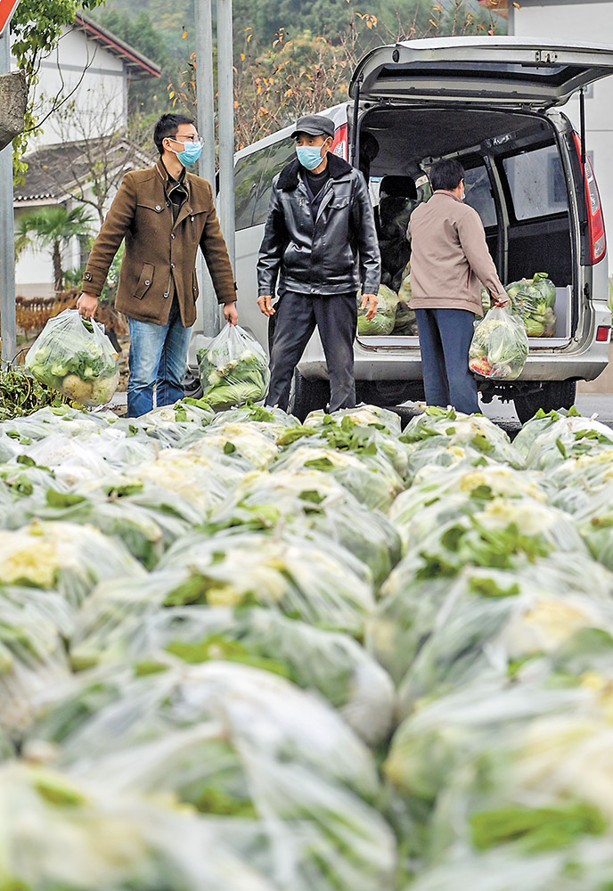 装车 23日，村民将一包包鲜嫩的蔬菜装上车。